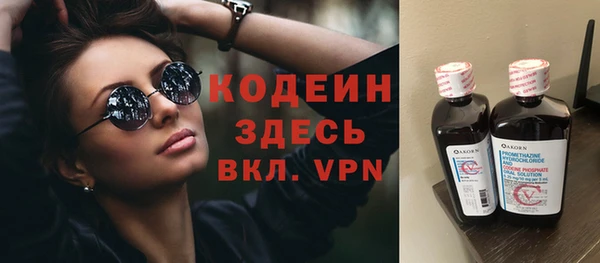 прущие грибы Белокуриха