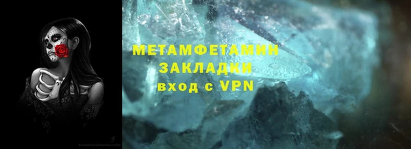 прущие грибы Белокуриха