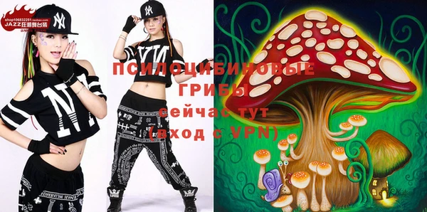 PSILOCYBIN Белоозёрский