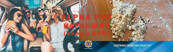 прущие грибы Белокуриха