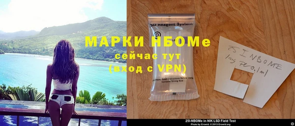 прущие грибы Белокуриха