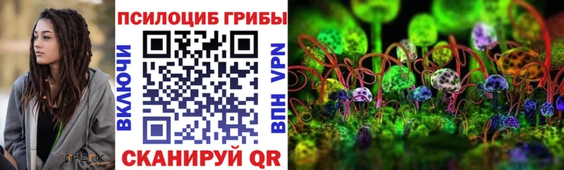 Псилоцибиновые грибы Psilocybine cubensis  Демидов 